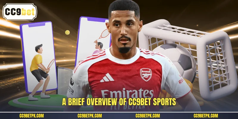A brief overview of CC9bet sports