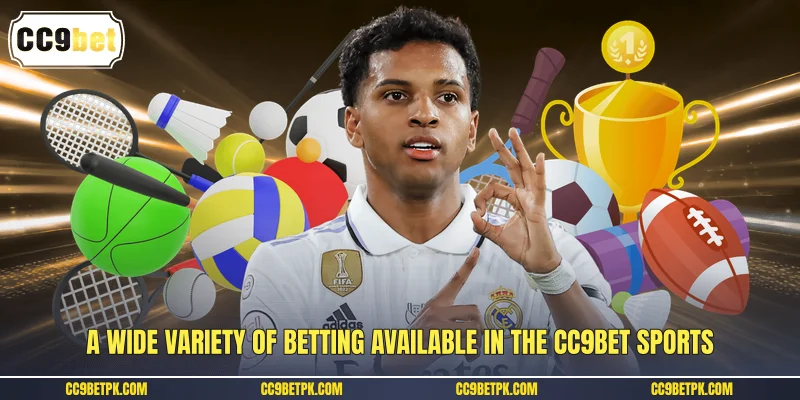 A wide variety of betting available in the CC9bet sports