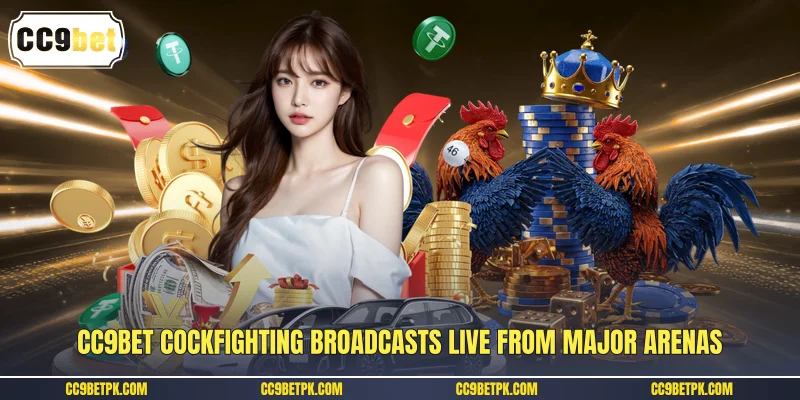 CC9bet cockfighting broadcasts live from major arenas