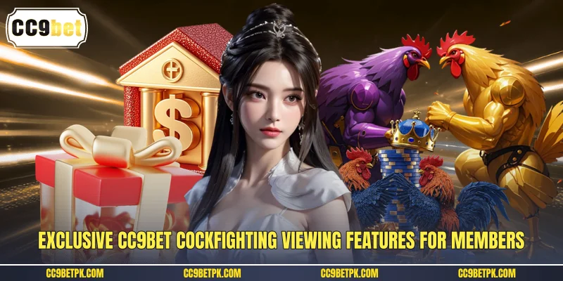 Exclusive CC9bet cockfighting viewing features for members